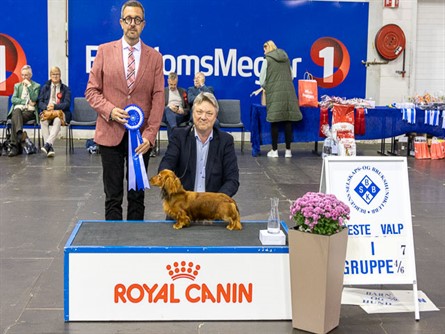 Beste valp gr 4-6.jpg